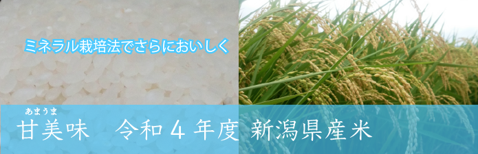 令和4年度新米