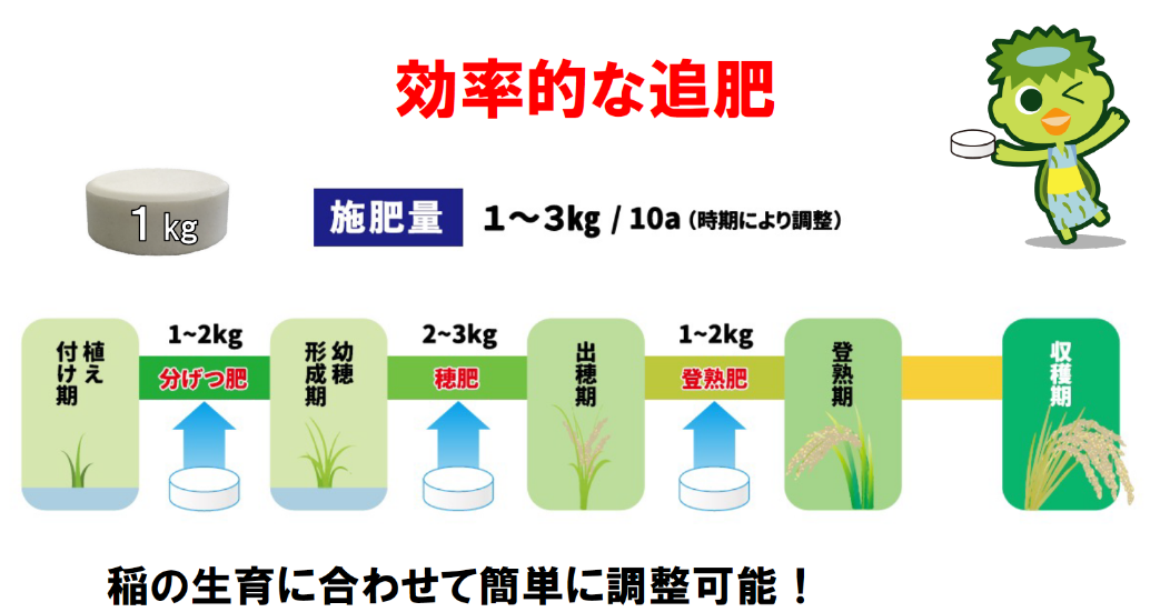 効果的な追肥