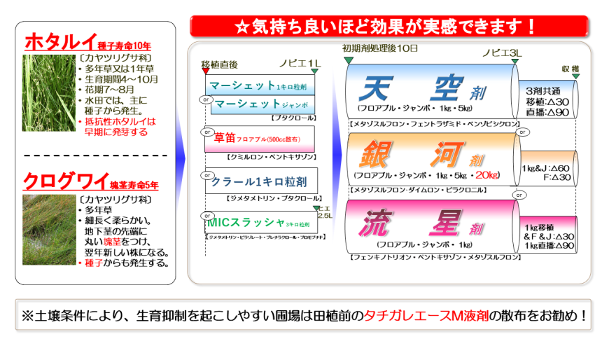 ホタルイ・クログワイ対策